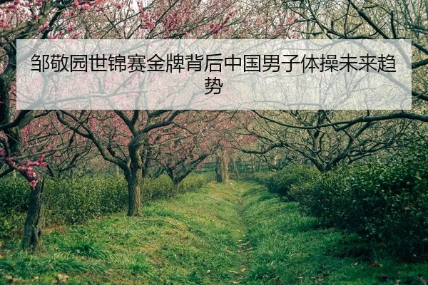 邹敬园世锦赛金牌背后中国男子体操未来趋势